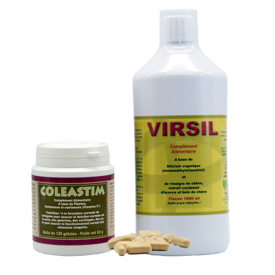 Kit de VIRSIL + CARTILAN PLUS